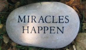 miracle &#8211; es