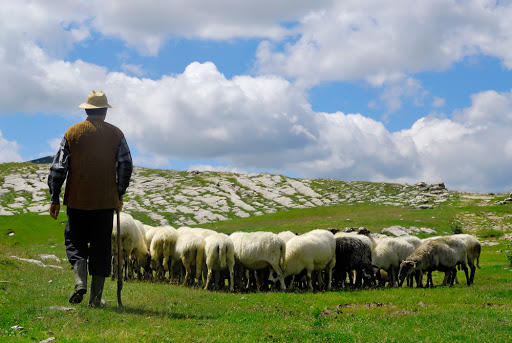 Il pastore con il gregge &#8211; es