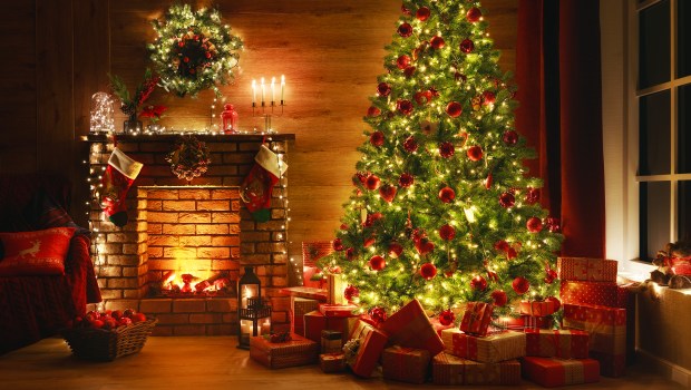 christmas tree