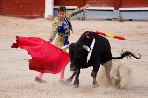 Il toro nella Corrida &#8211; es