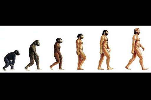 EVOLUTION HUMAN KIND – es