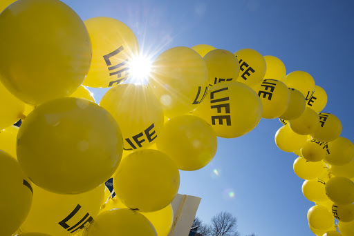 March for Life 2014 &#8211; es