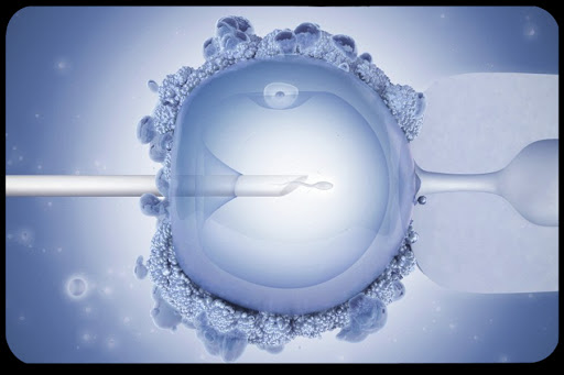Ethicists Warn Against Three-Parent Reproductive Technology Maurizio De Angelis Wellcome Images &#8211; es