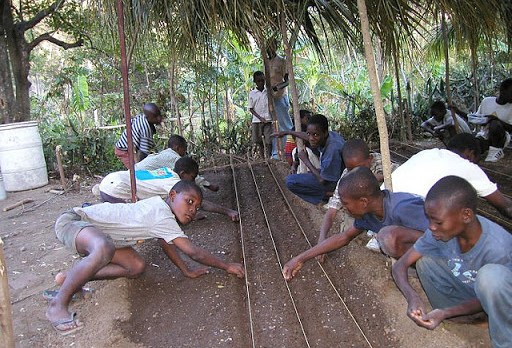 desarrollo agrícola en Haití