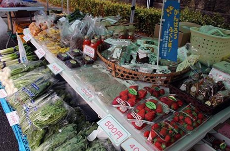Legumes Fukushima &#8211; es