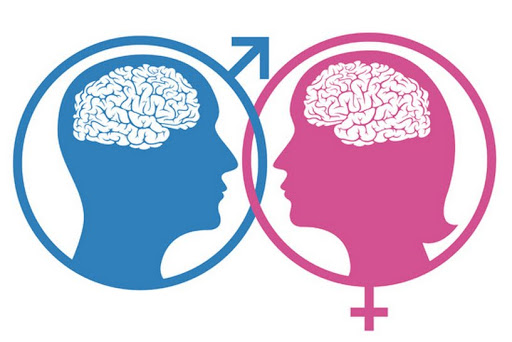 Gender cervello &#8211; es