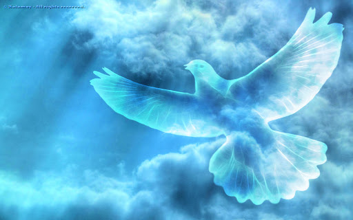 dove of peace &#8211; es