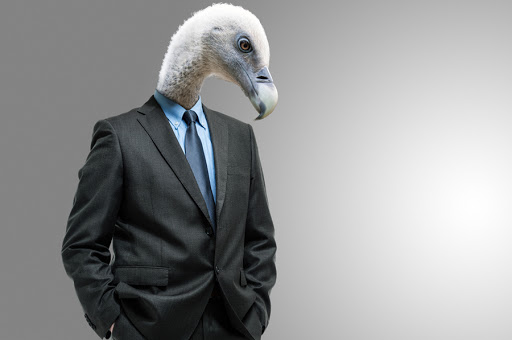 Portrait of a business dressed vulture &#8211; es