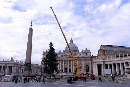 Christmas tree in St. Peter&#8217;s Square 1 &#8211; Sabrina Fusco &#8211; es