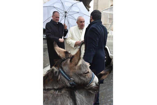 Pope Francis receives as gift two donkeys by the Eurolactis founder &#8211; es