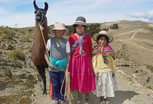 niños bolivianos con una llama