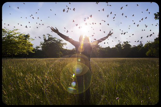 Young girl spreading hands-joy-Bird flying &#8211; Freedom- © BABAROGA / Shutterstock &#8211; es