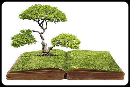 The big tree growing from a book © Kittichai / Shutterstock &#8211; es