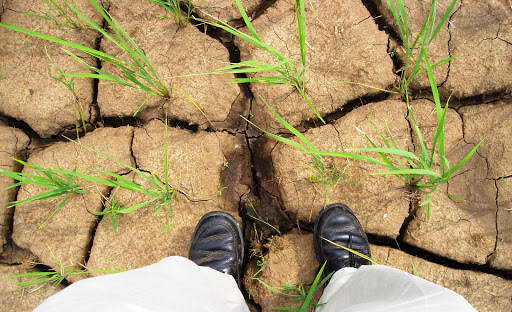 Man standing on scorched earth (drought) &#8211; es
