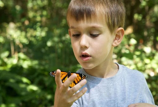 niño con una mariposa en mano