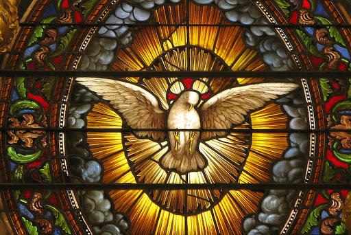 Por qué representamos al Espíritu Santo en forma de paloma?