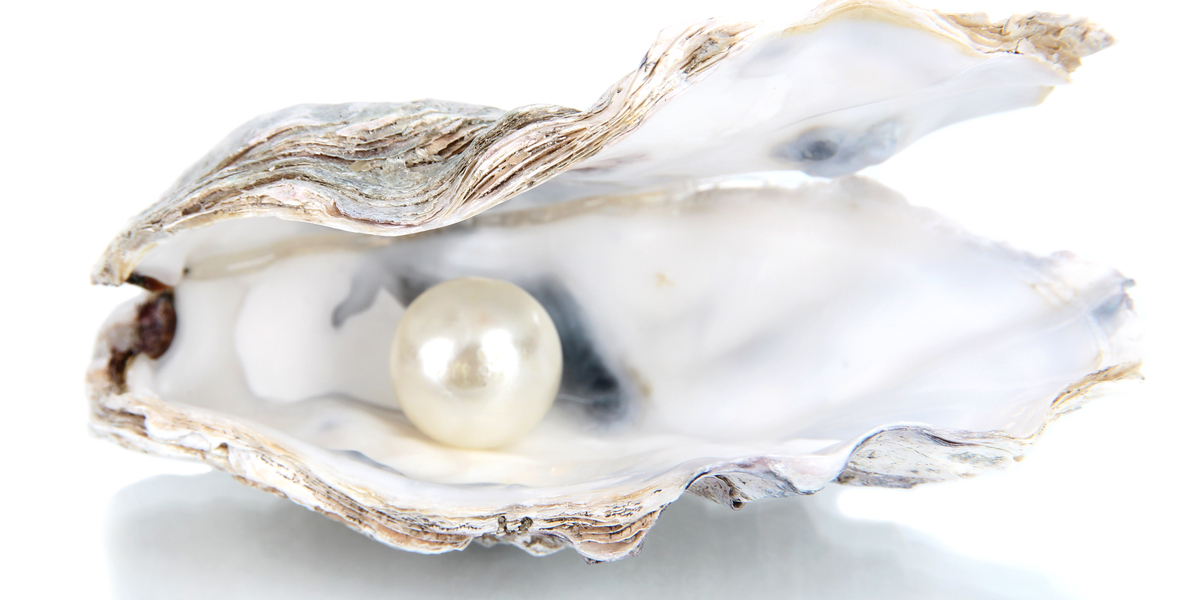 Descarga Honesto después de esto Sabes cómo se forma una preciosa perla dentro de una ostra? Con mucho dolor