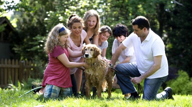 Together this family was in the process of washing their labrado