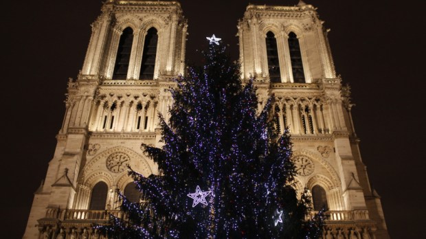 web-christmas-tree-notre-dame-paris-philippe-lissacgodong-photononstop-ai