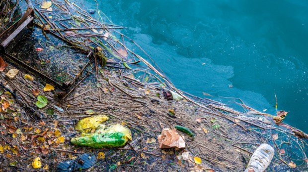 web-garbage-ocean-food-waste-pollution-c2a9-nomadfra-shutterstock_