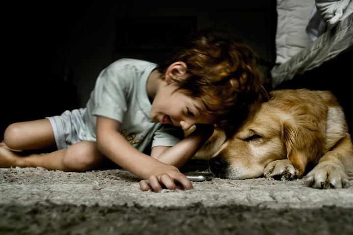 WEB-LOYALTY-FRIENDS-DOG-BOY-CIA DE FOTO-CC