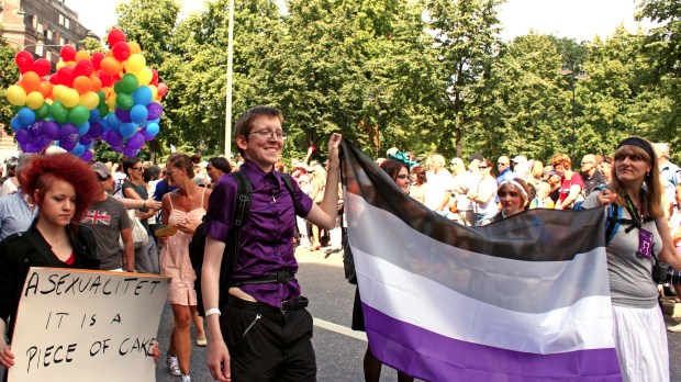 web-asexual-asexuality-pride-parade-flag-immanuel-brc3a4ndemo-cc.jpg