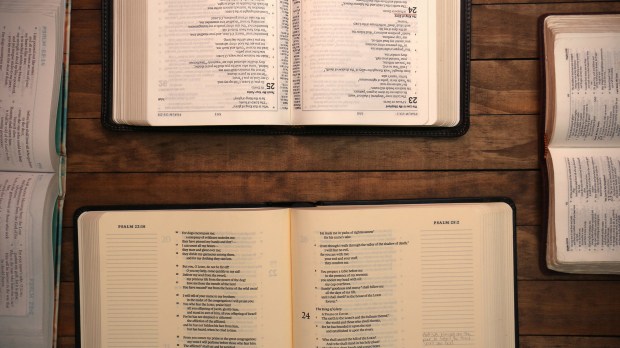 web-bible-bibles-table-shutterstock_350130722-pamela-d-maxwell-ai.jpg