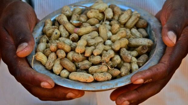 web-food-peanuts-hands-plate-climate-change-agriculture-and-food-security-cc.jpg