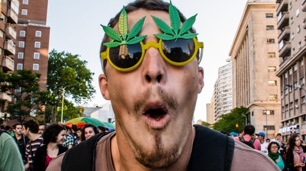 web-marihuana-cannabis-eyeglasses-funny-gonzalo-g-useta-cc.jpg