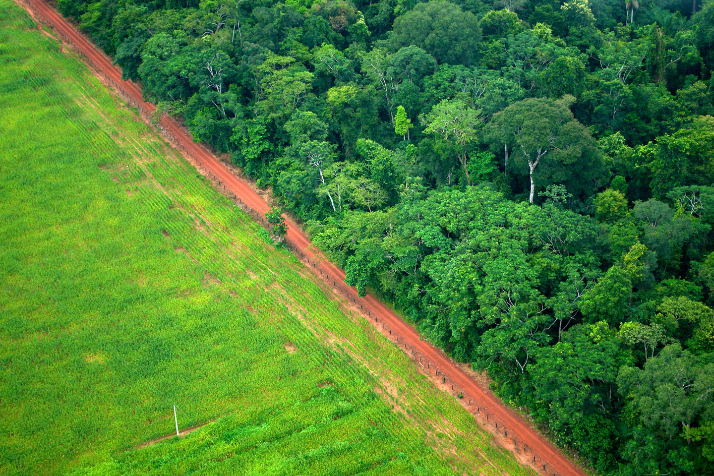 web-deforestation-brazil-kate-evans-for-center-for-international-forestry-research-cc.jpg