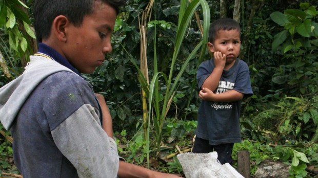 web-colombia-farm-children-work-danielle-pereira-cc.jpg