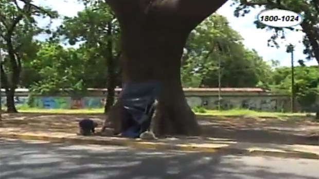 web-old-man-nicaragua-tree-homeless-canal10-com-ni.jpg