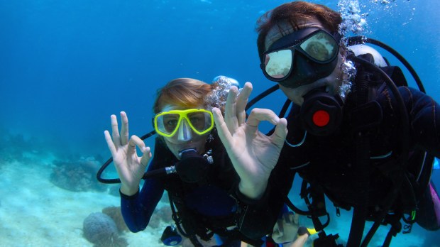 web-sea-diving-underwater-shutterstock_132927338-dudarev-mikhail-ai.jpg