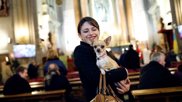 Pets head to church in Spain to get blessed