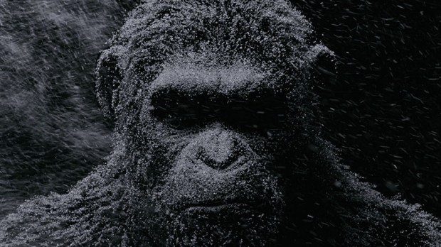 web-war-for-the-planet-of-the-apes-20th-century-fox