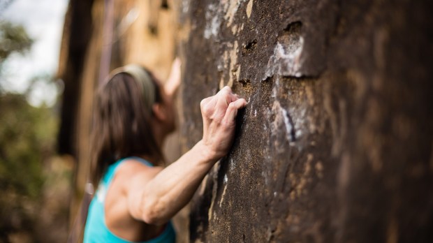 web-climbing-woman-hand-david-hunt-cc