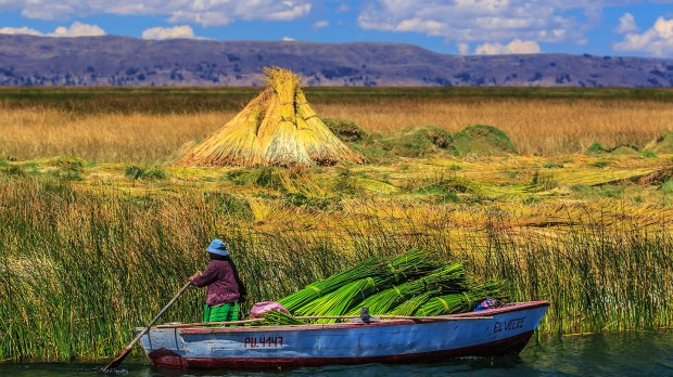 web-titicaca-lake-bolivia-peru-murray-foubister-cc