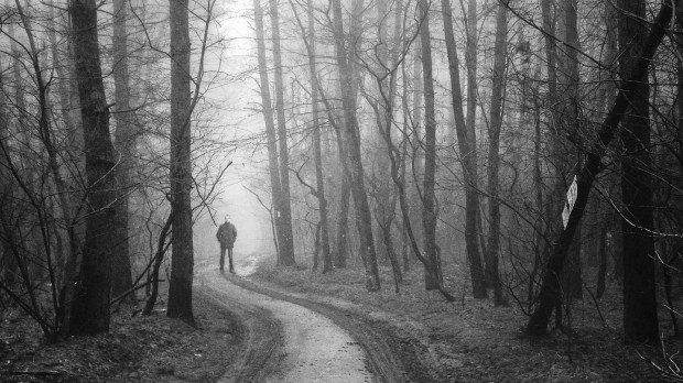 web-woods-path-man-foggy-michal-koralewski-cc