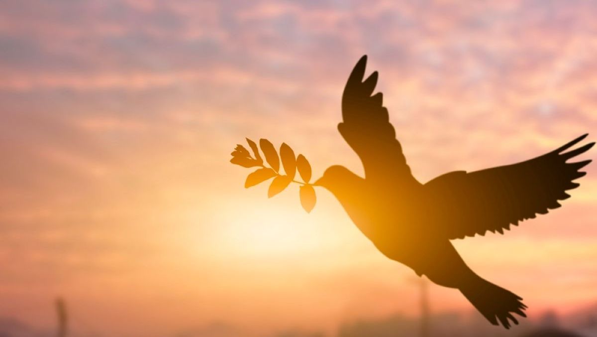 paz, mundo, Jesús, guerra, violencia