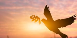 Promover la paz en nuestro entorno es congruencia cristiana