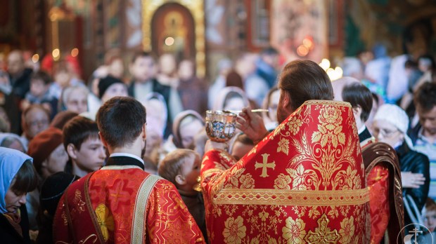 web-ortodox-comunnion-eucharist-church-priest-saint-petersburg-theological-academy-cc