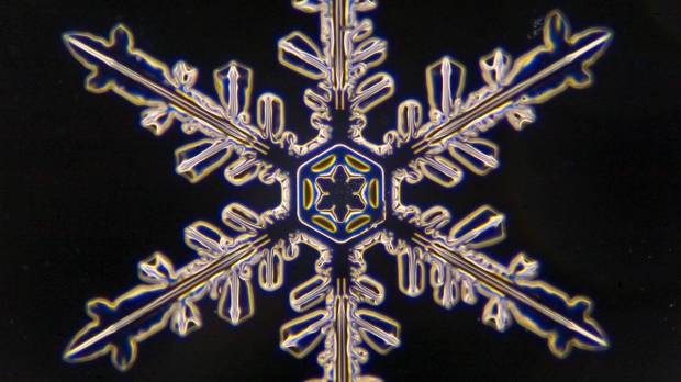 web-snowflake-005-jasper-nance-cc