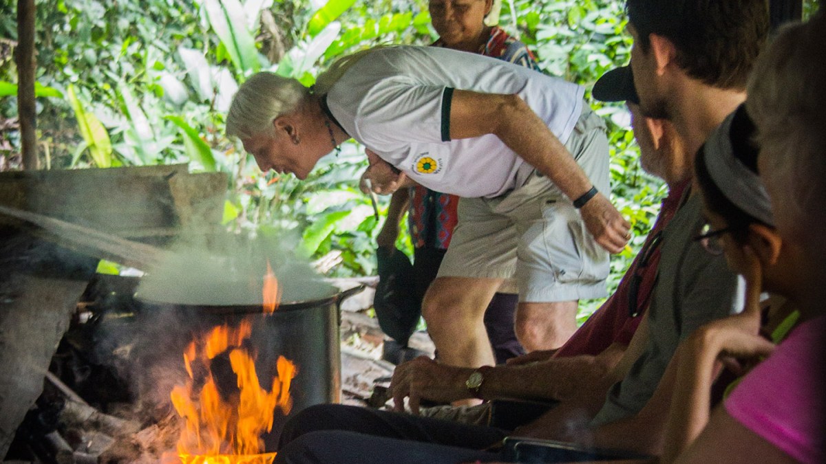 web-ayahuasca-peru-apollo-cc