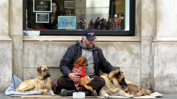 web-homeless-spain-street-dogs-fran-urbano-cc