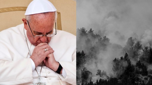 web-pope-francis-forest-chile-fire-mazur-catholicnews-org-uk-rafael-edwards-cc