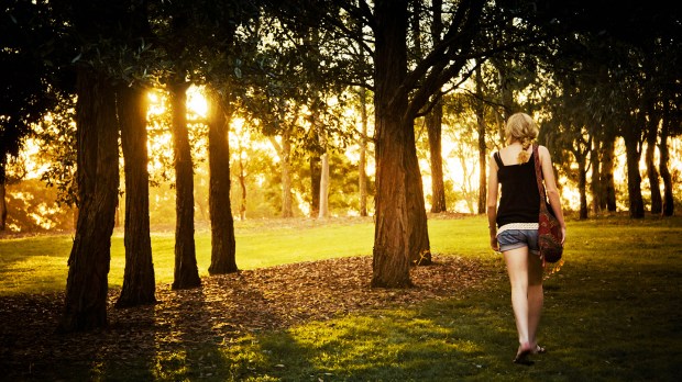 web-sun-follow-woman-girl-walking-forest-lina-hayes-cc