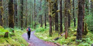 Pon un poco de naturaleza en tu agenda semanal