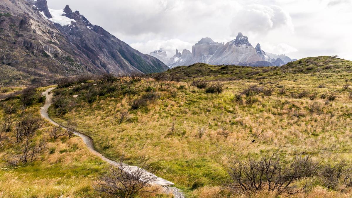 camino-en-la-montaña