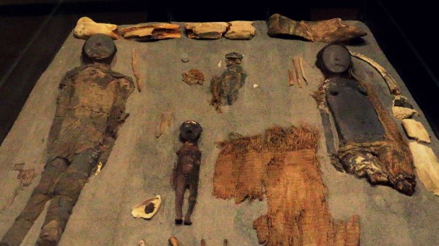 web-azapa-chinchorro-mummies-emma-rada-cc