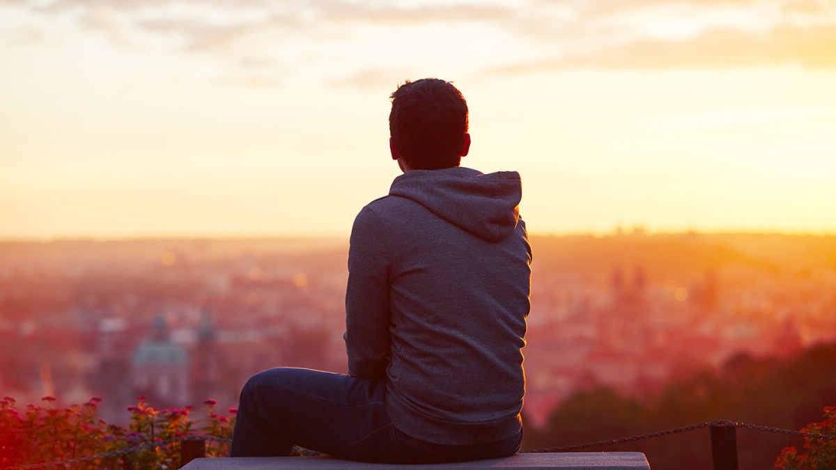 web-man-boy-back-sunset-shutterstock_321921797-jaromir-chalabala-ai